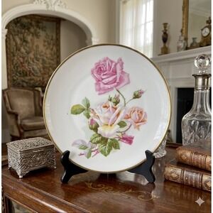 CT Altwasser Germany Antique Porcelain Rose Cabinet Plate Gold Rim Hand Painted